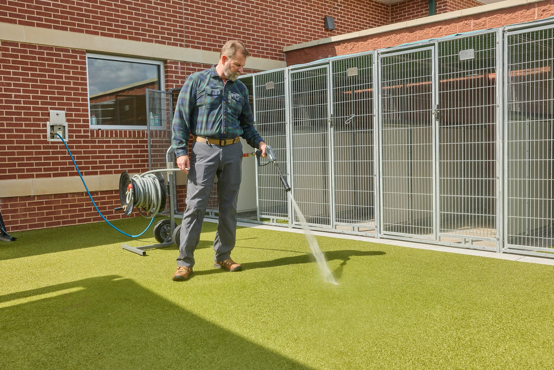 Is Your Kennel Cleaning System Putting Animals at Risk?