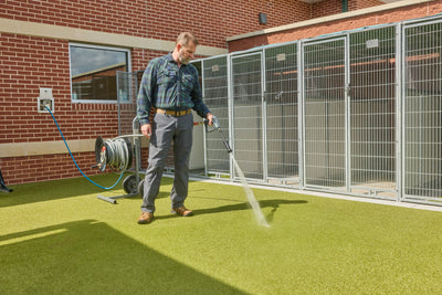 Is Your Kennel Cleaning System Putting Animals at Risk?